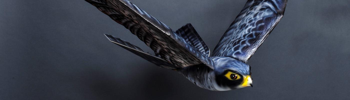 Robird: robotic birds of prey
